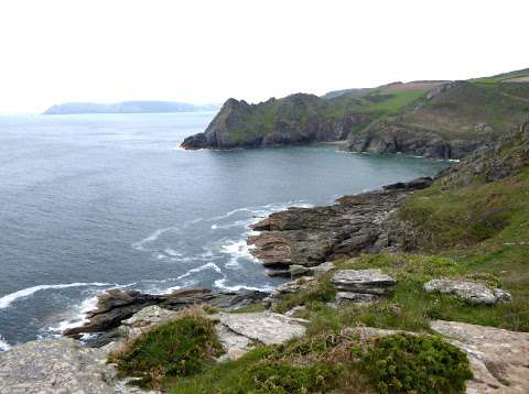 South Devon Area Of Outstanding Natural Beauty (AONB) photo